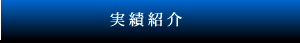 実績紹介