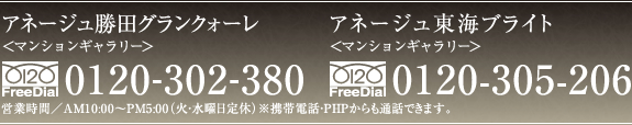 ANERGE1000プロジェクト準備室・アネージュマンションスクエア 0120-302-380
