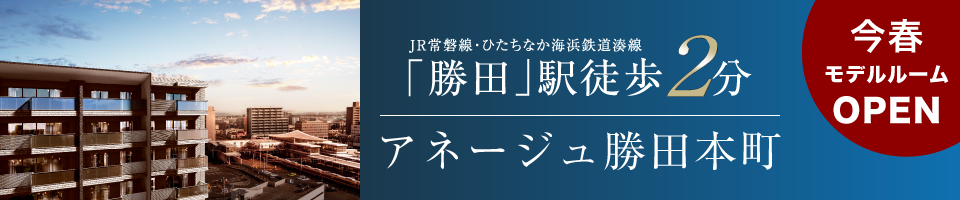 ザ・レジデンス アネージュ石川